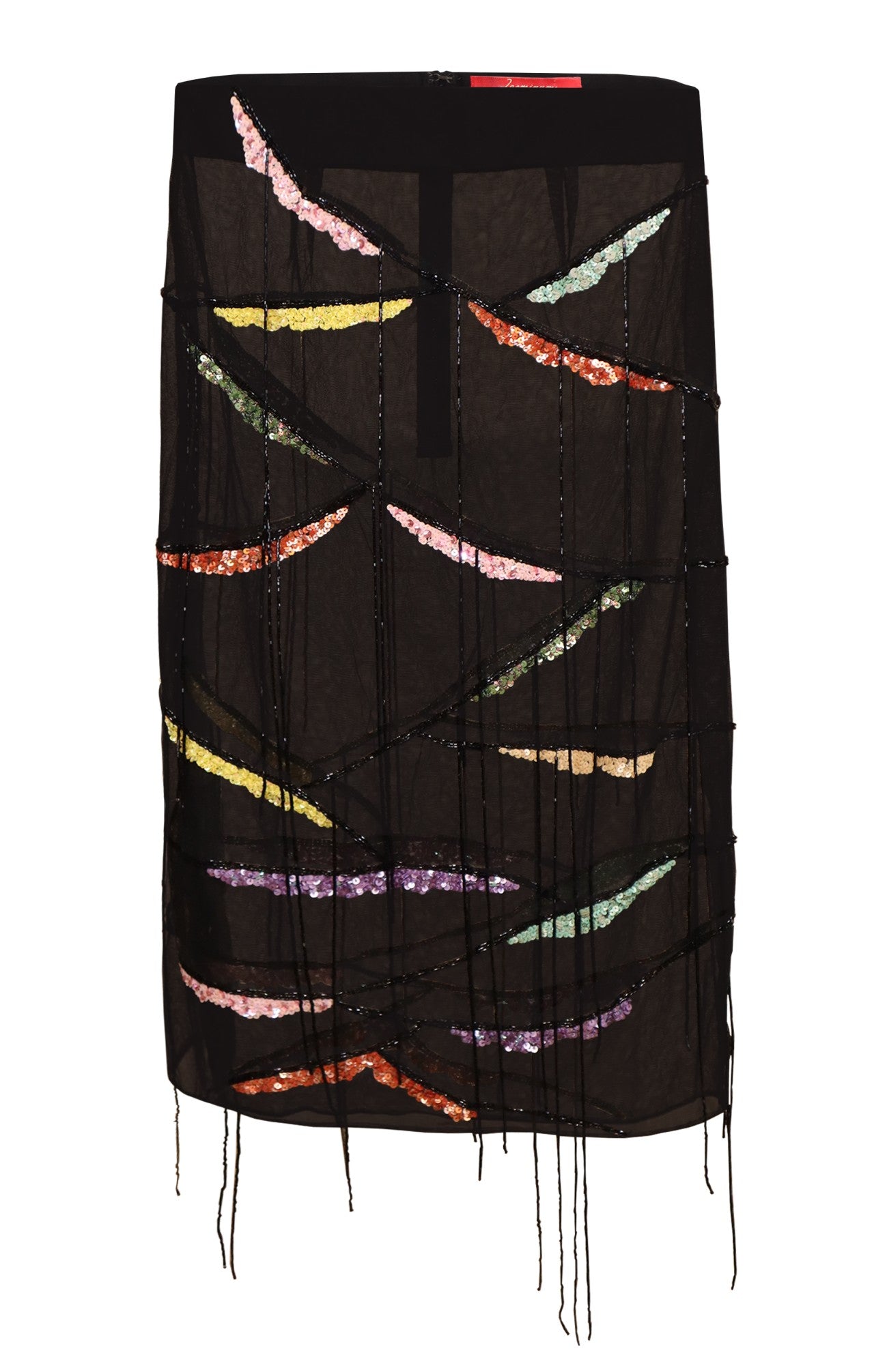 Embroidered Net Skirt