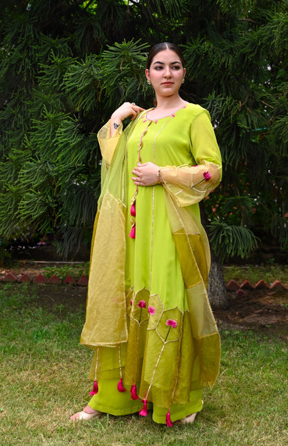 Georgette Suit With Organza Design