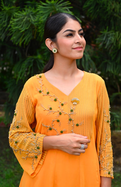 Chiffon Kalidaar Suit