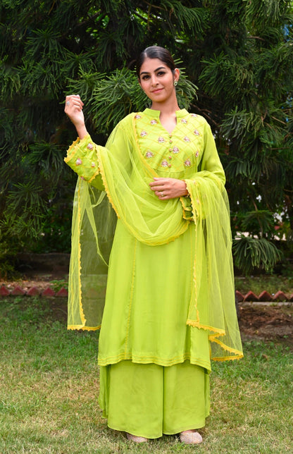 Chiffon Suit With Bullion Embroidery