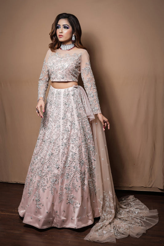 Crop Top And Skirt With All Over Silver Embroidery - BLUSH