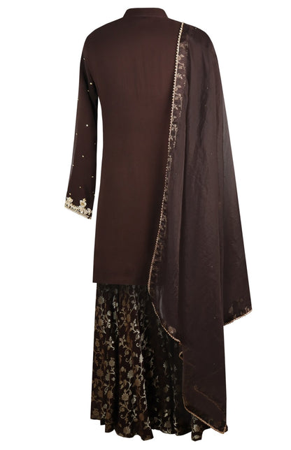 Georgette Short Shirt With Banarsi Sharara - BROWN
