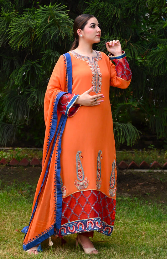 Paisley Motifs Georgette Suit