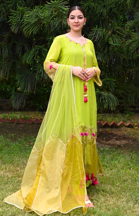 Georgette Suit With Organza Design