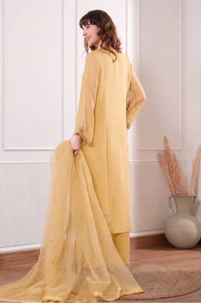 Georgette Kalidar Suit With Mukaish Embroidery