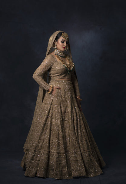 Golden Zardozi And Sequins Embroidery Lehnga Choli