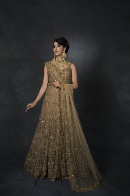 Golden Zardozi Embroidery Double Layer Gown
