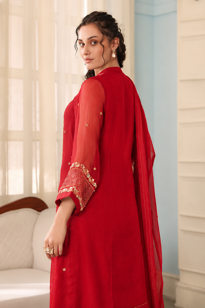 Zardozi Birds Silk Suit - RED